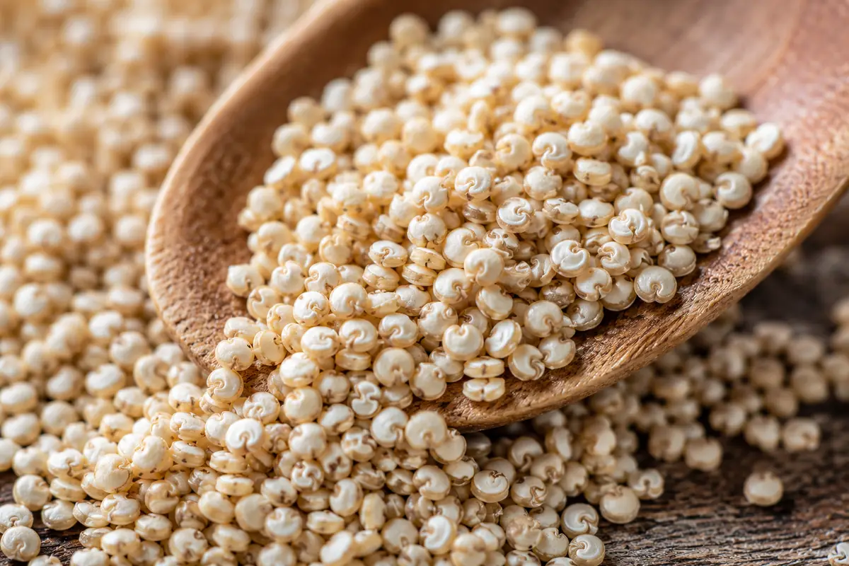 Macro close-up of raw gluten free quinoa seeds on a wooden spoon, showing the tiny curled germ ring of the pseudocereal seed